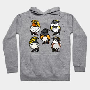 Bright Warbler Group Graphic Hoodie